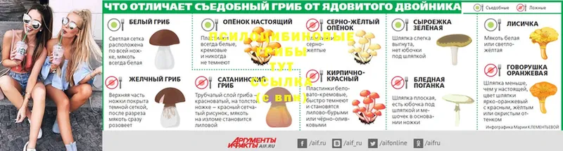 Галлюциногенные грибы GOLDEN TEACHER  kraken зеркало  Грязовец 